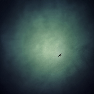 Freebird
