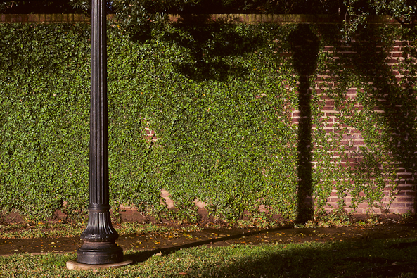 Houston Lamp Post