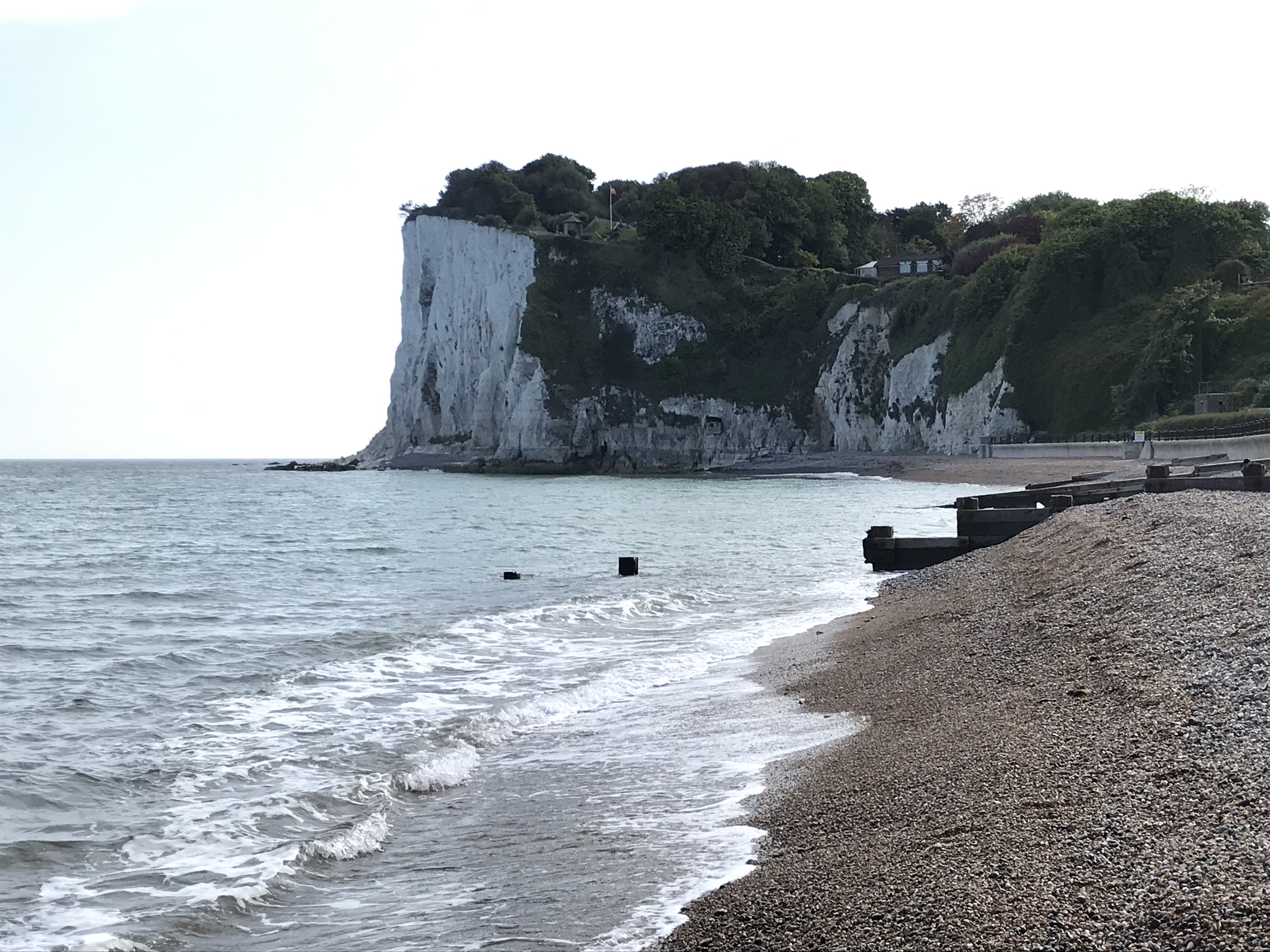 dover