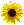 "*"